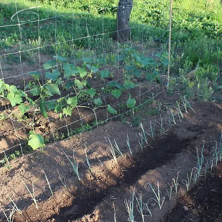 فندق & Les Bergeries D'alata