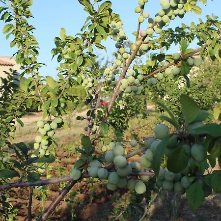 فندق & Les Bergeries D'alata