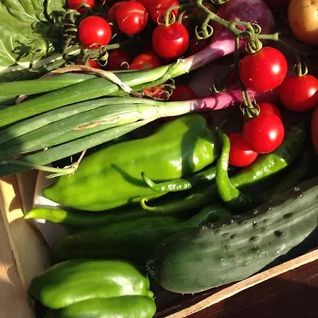 & Les Bergeries D'alata 3* Alata