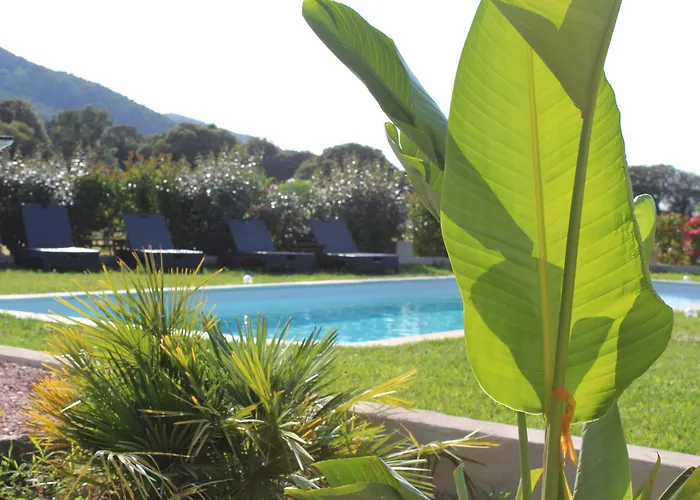 Hotel Les Bergeries D'Alata Maison De Charme & Suites Avec Piscine