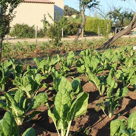 & Les Bergeries D'alata Alata
