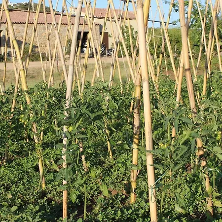 & Les Bergeries D'alata Hotel Alata