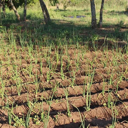 & Les Bergeries D'alata Hotel