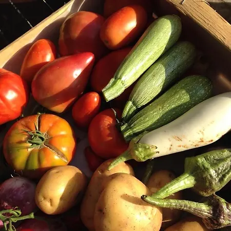 & Les Bergeries D'alata 3* Alata