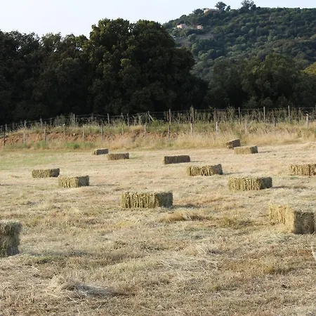 ホテル Les Bergeries D'alata De Charme & Avec Piscine