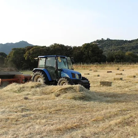 & Les Bergeries D'alata 3*