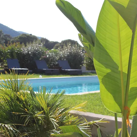 فندق Les Bergeries D'alata De Charme & Avec Piscine