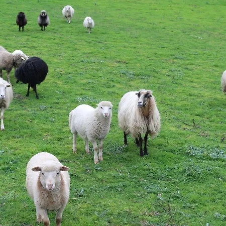 Hotel & Restaurant Les Bergeries D'alata 3*