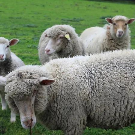 & Les Bergeries D'alata 3*