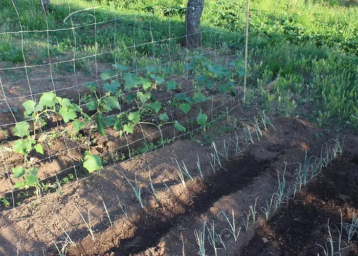 Hotel & Les Bergeries D'alata