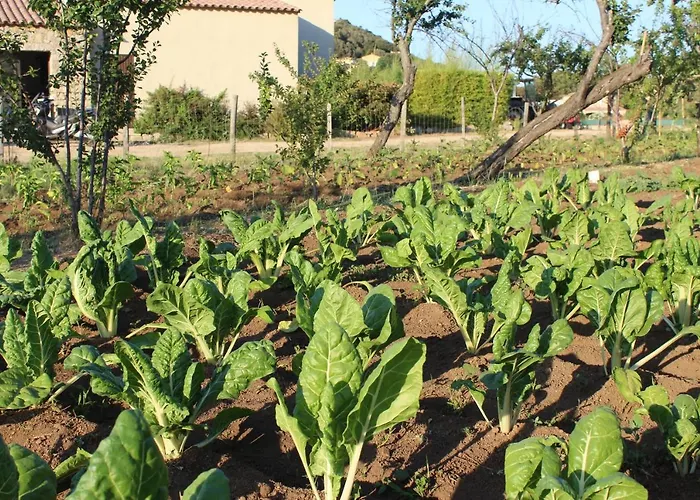 & Les Bergeries D'alata Alata