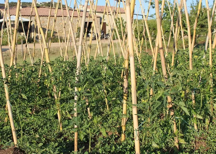 & Les Bergeries D'alata Otel Alata
