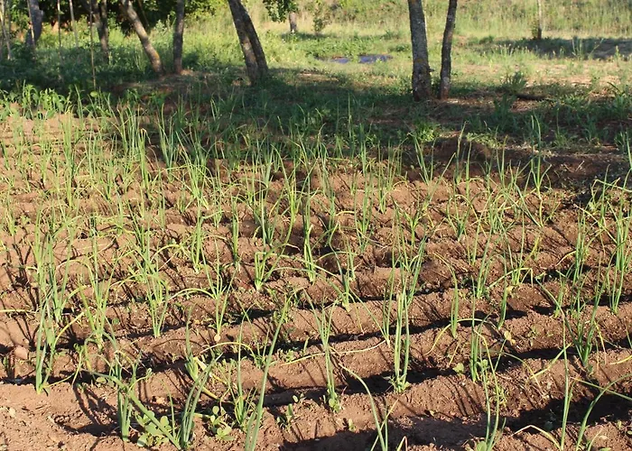 & Les Bergeries D'alata מלון