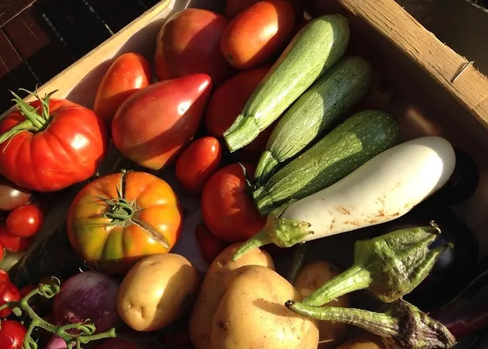 & Les Bergeries D'alata 3* Alata