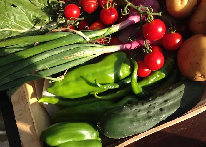 & Les Bergeries D'alata 3* Alata