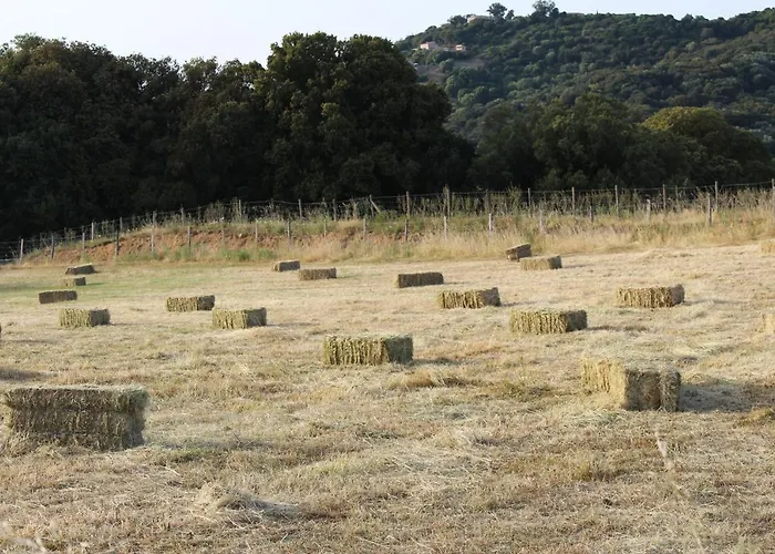 מלון & Les Bergeries D'alata