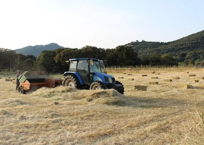& Les Bergeries D'alata 3*