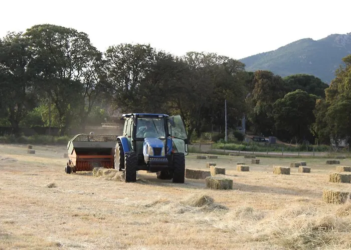 & Les Bergeries D'alata מלון 3*