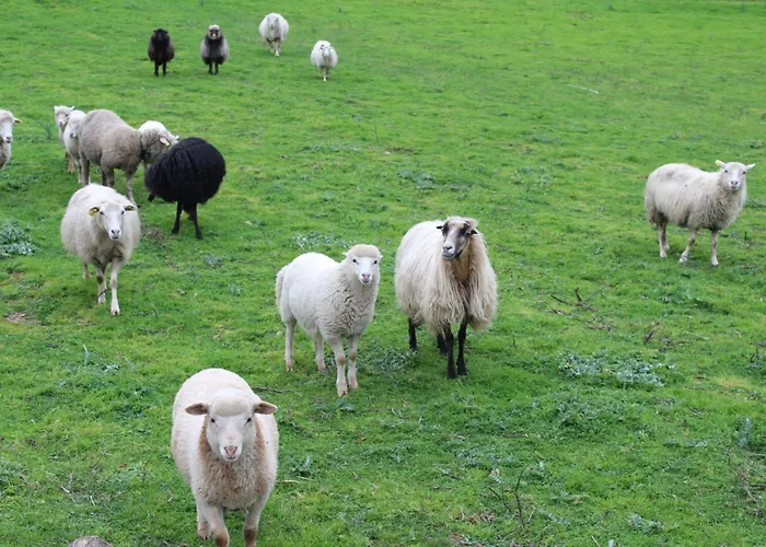 מלון & Les Bergeries D'alata 3*