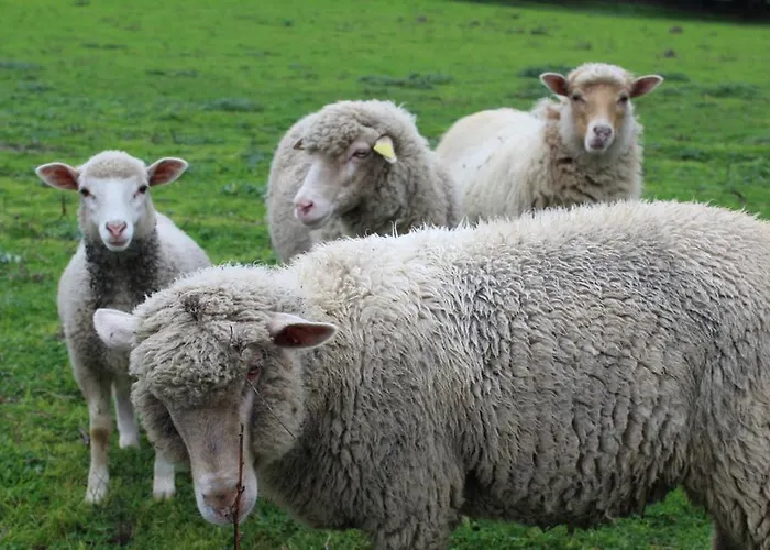 & Les Bergeries D'alata 3*